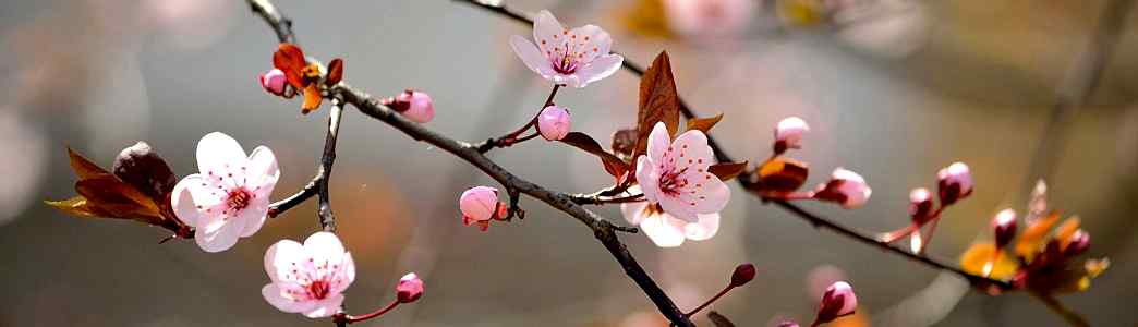 Слайдер №1 Слайдер №1