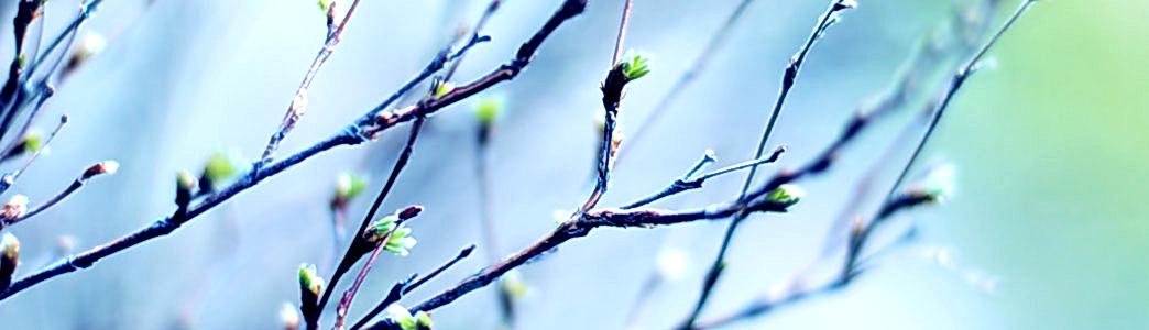 Слайдер №2 Слайдер №2