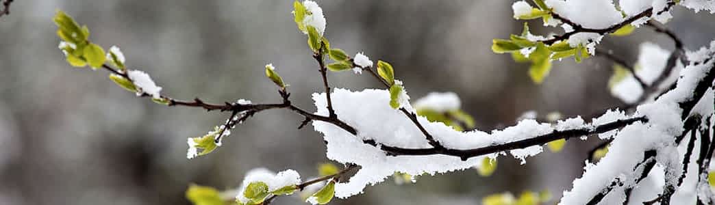 Слайдер №3 Слайдер №3