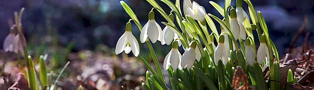 Слайдер №4 Слайдер №4